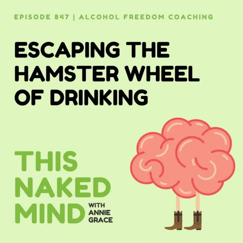 Escaping The Hamster Wheel of Drinking | Alcohol Freedom Coaching | E847