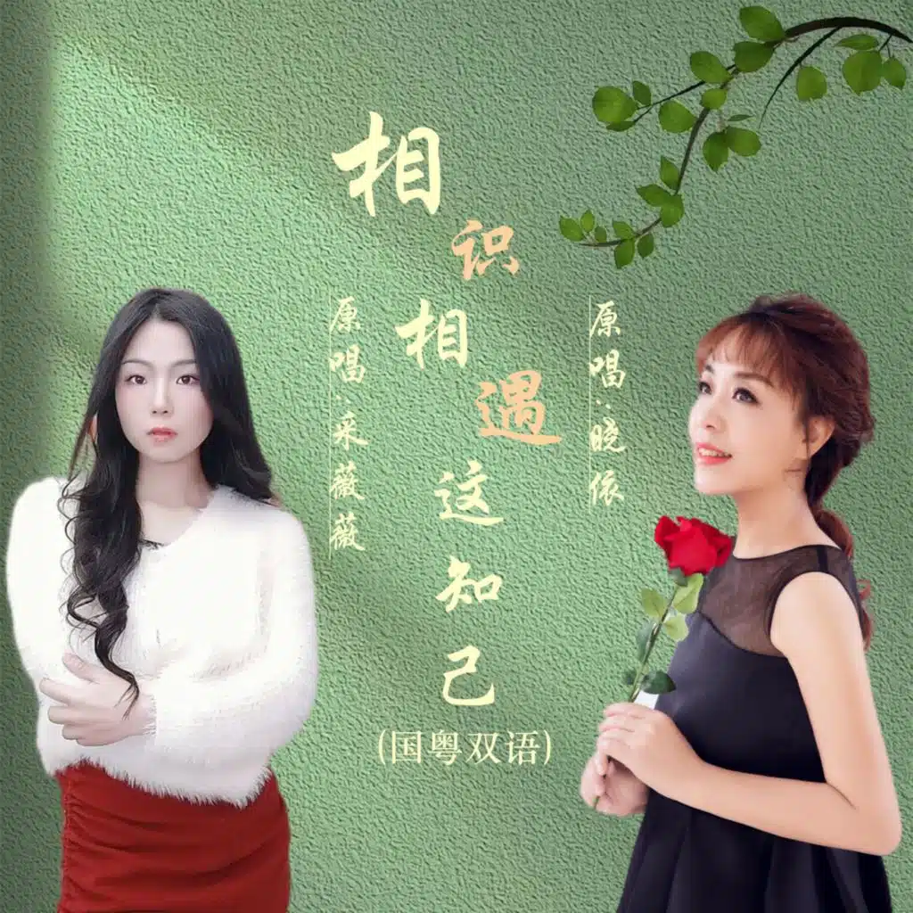 相识相遇这知己DJ (国粤语版)