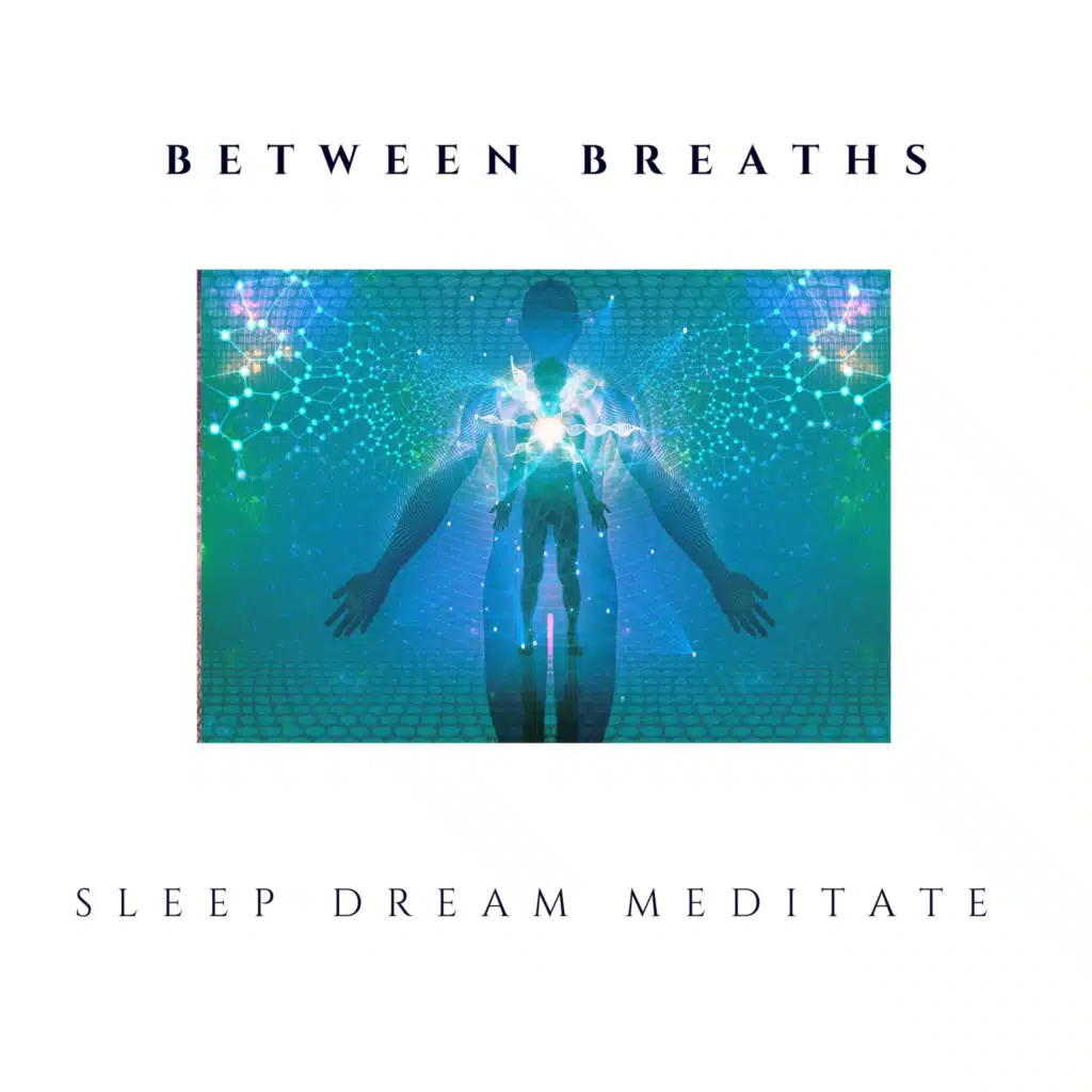 Sleep Dream Meditate