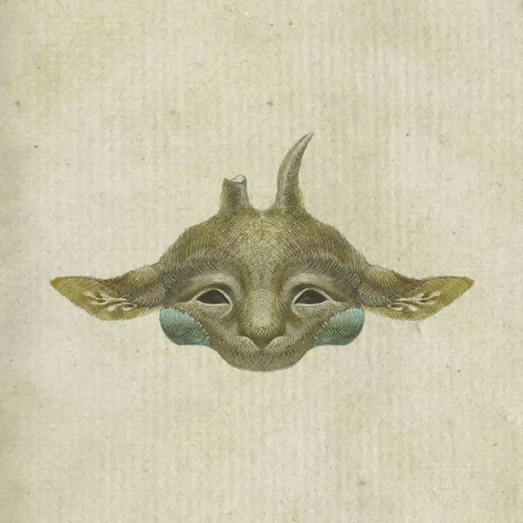 Bird cage blue and yellow