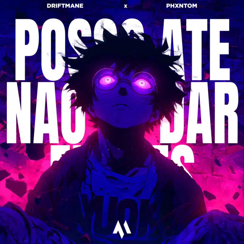 POSSO ATE NAO TE DAR FLORES (PHONK)