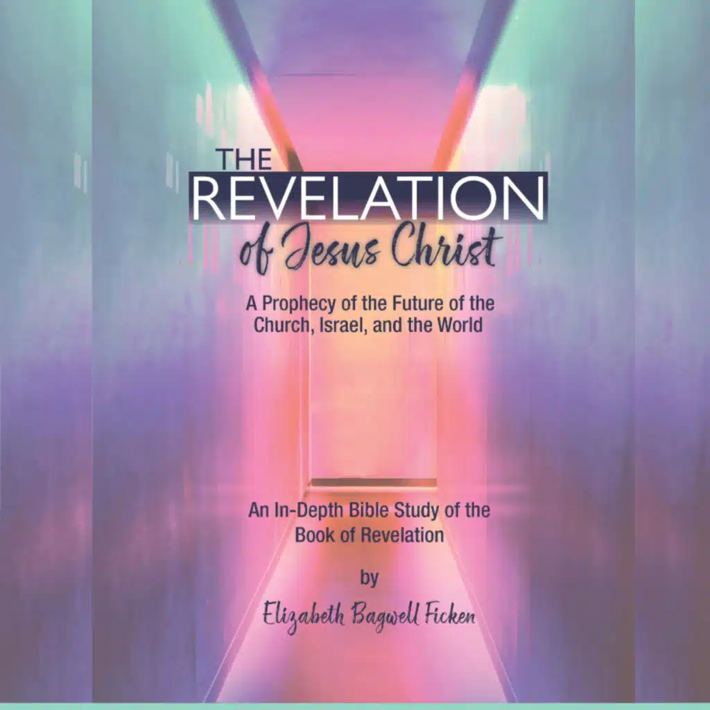 Revelation Bible study: The Revelation of Jesus Christ Lecture 7 The Tale of Two Testimonies Rev. 6:9-17