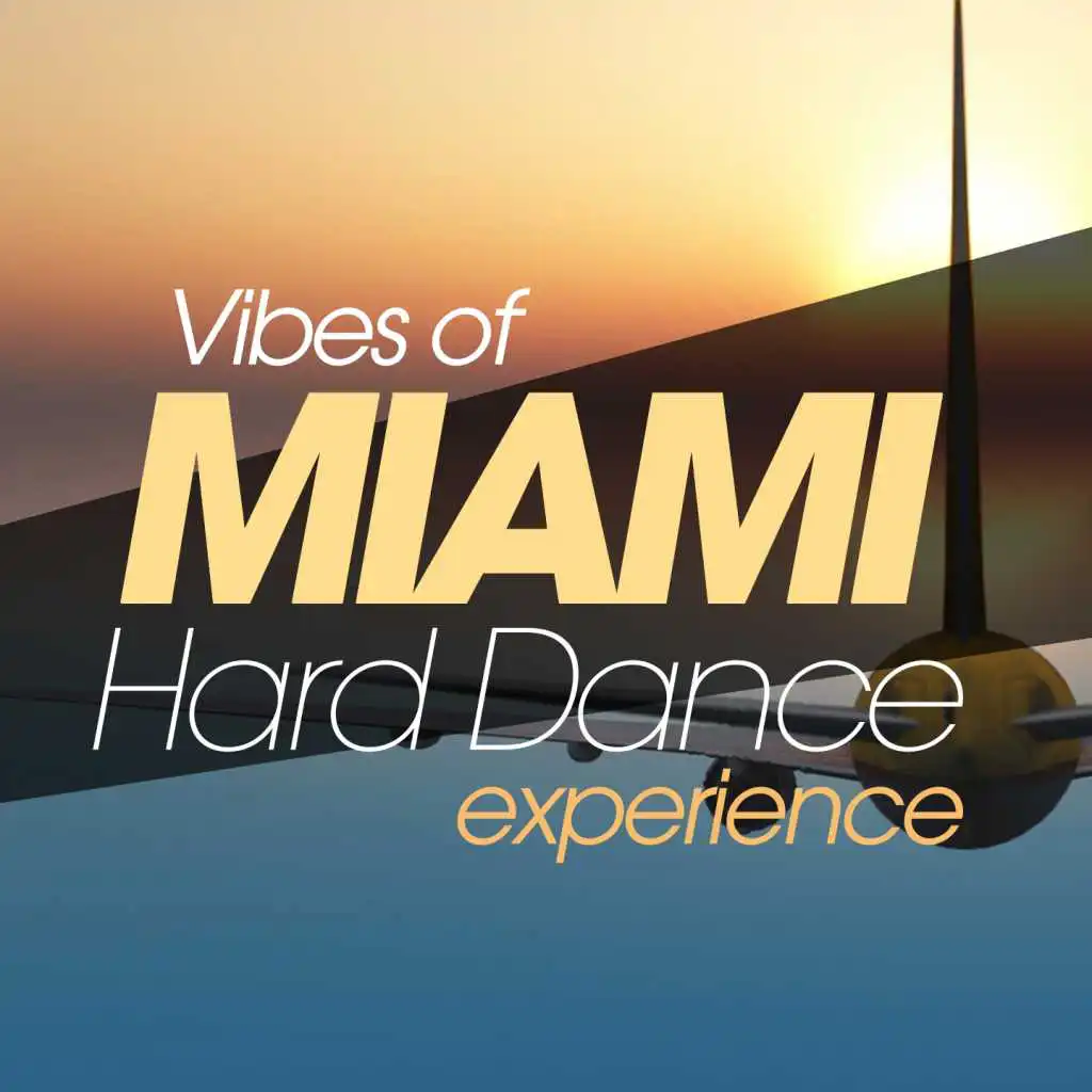 Vibes of Miami Hard Dance Tunes