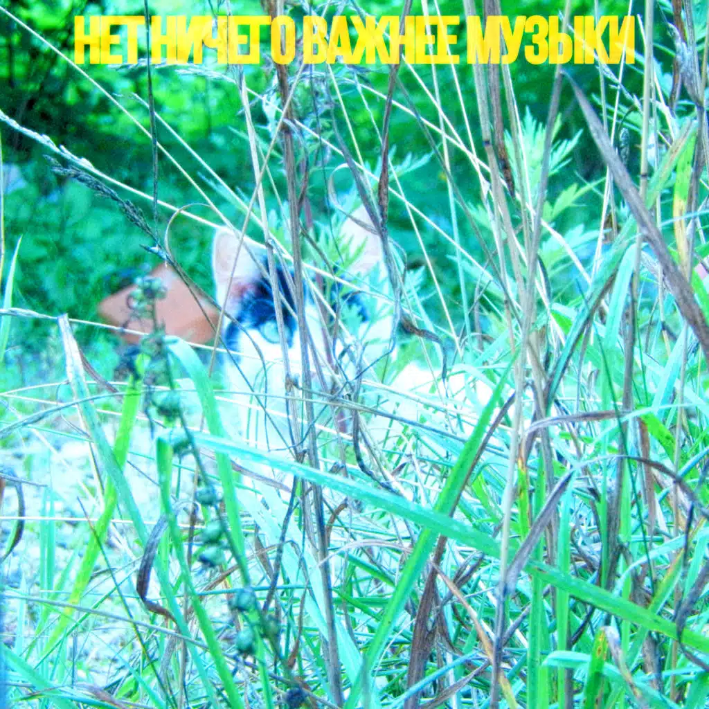 Нет ничего важнее музыки