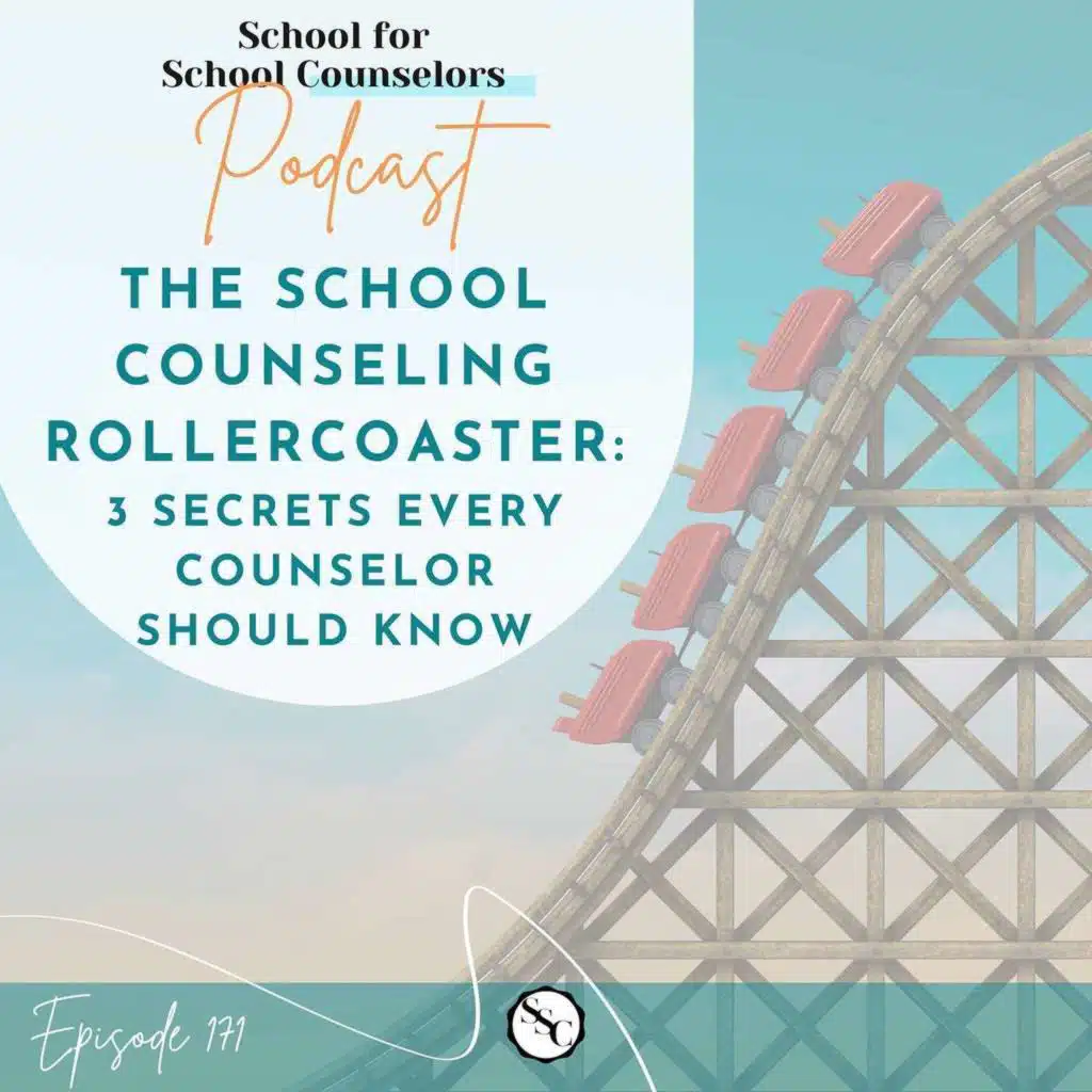 The School Counseling Rollercoaster: 3 Secrets Every Counselor Should Know