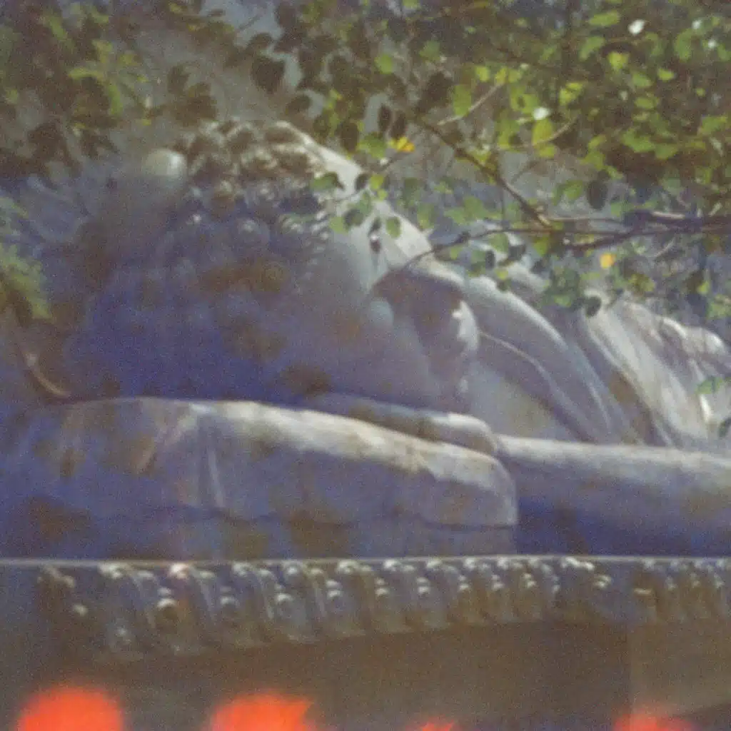 大泊VENV
