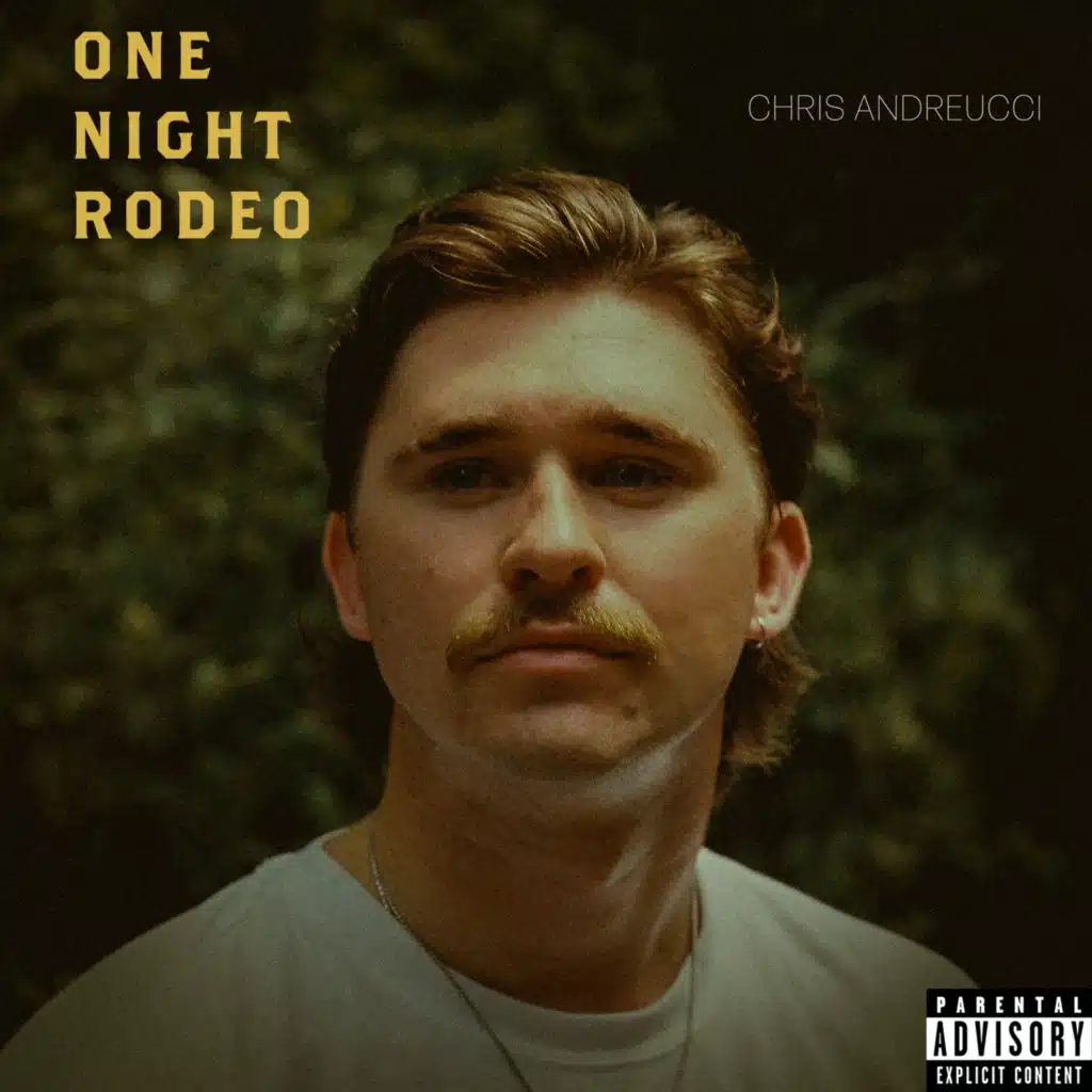 ONE NIGHT RODEO