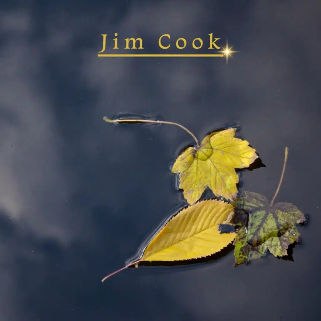 Jim Cook