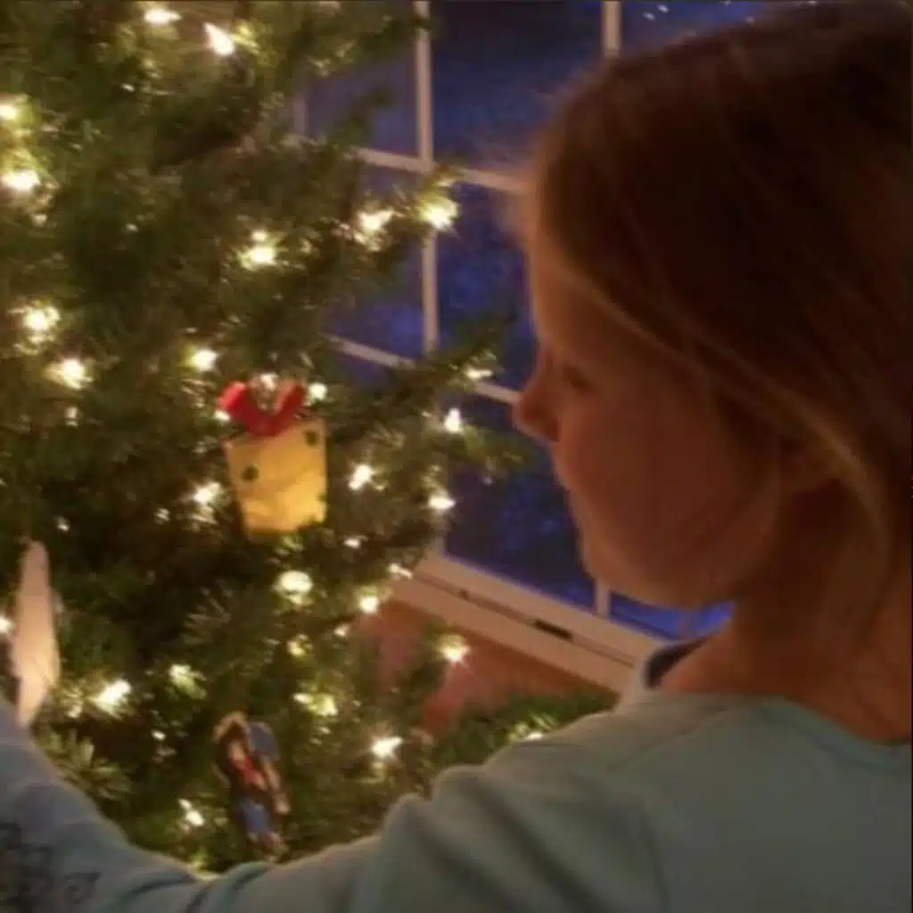 butterfly effect - demo