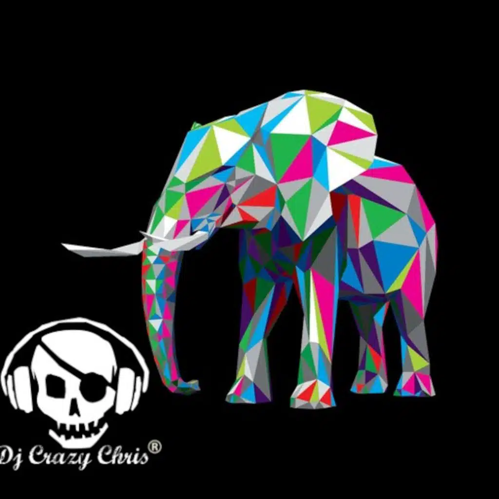 Dj Crazy Chris Presents ~ THE ELEPHANT TRAP (Original Electro-DubStep 2015)
