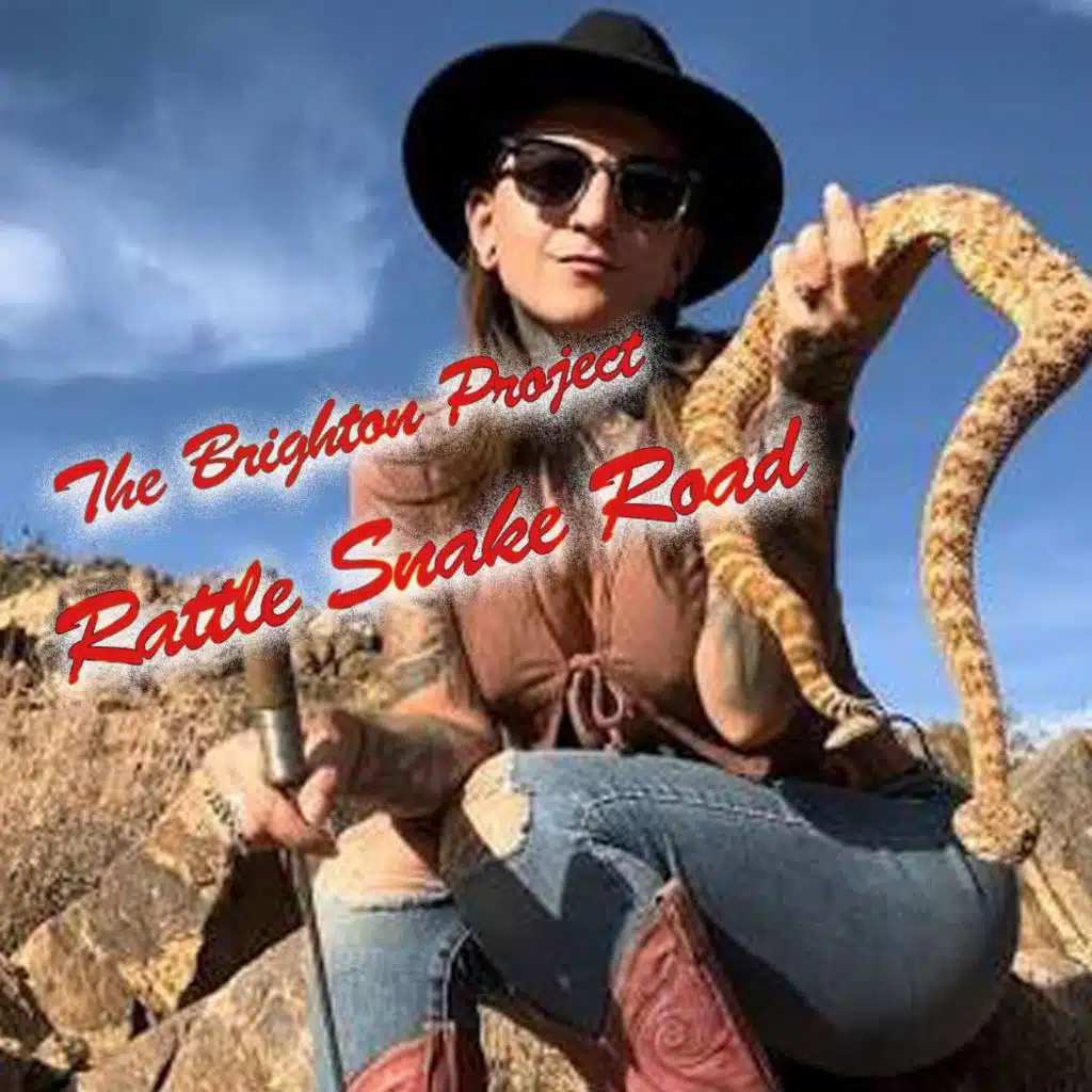 The Brighton Project