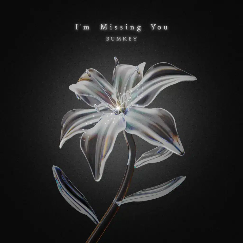 I'm Missing You