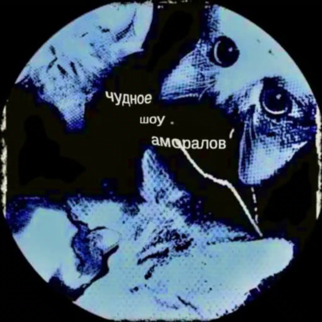 Чудное Шоу Аморалов