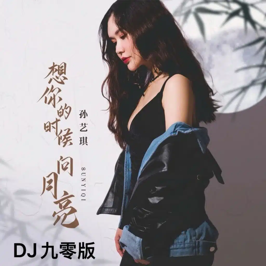 想你的时候问月亮 (DJ九零版伴奏)