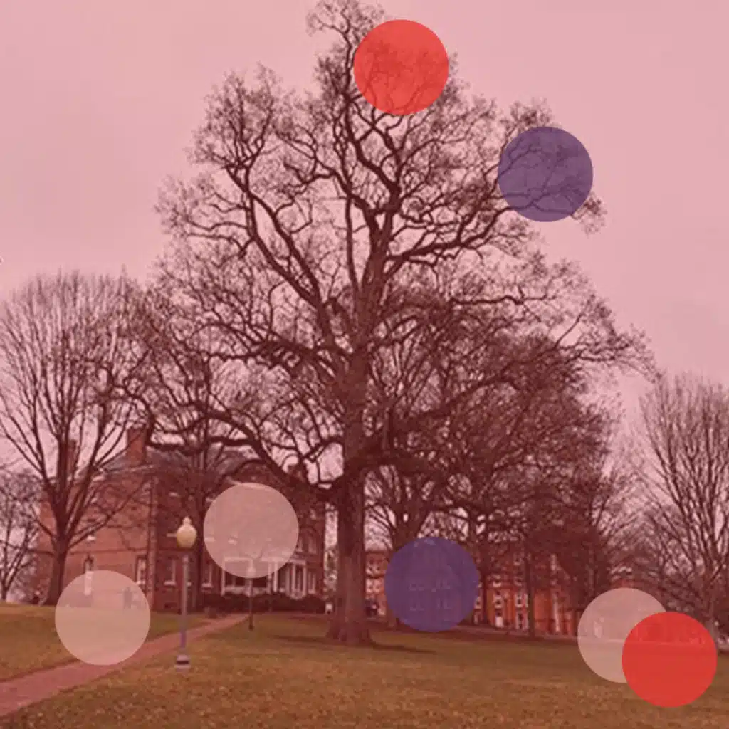 The (Actual) Tree Of Liberty