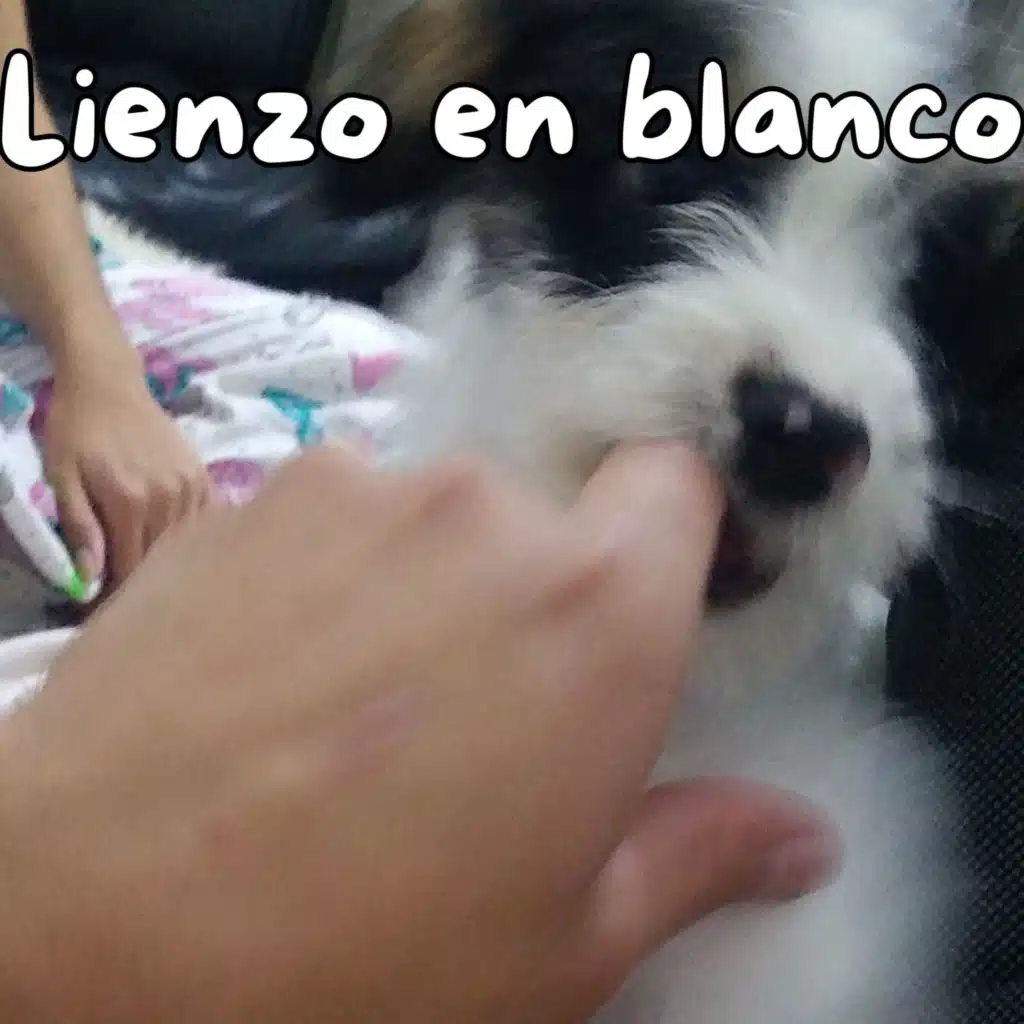 Lienzo en blanco