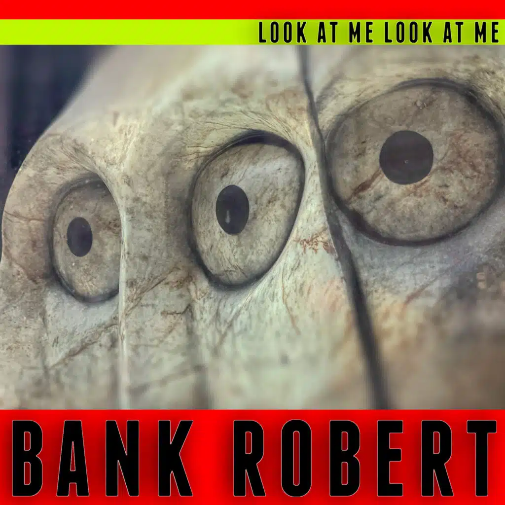 Look at Me Look at Me