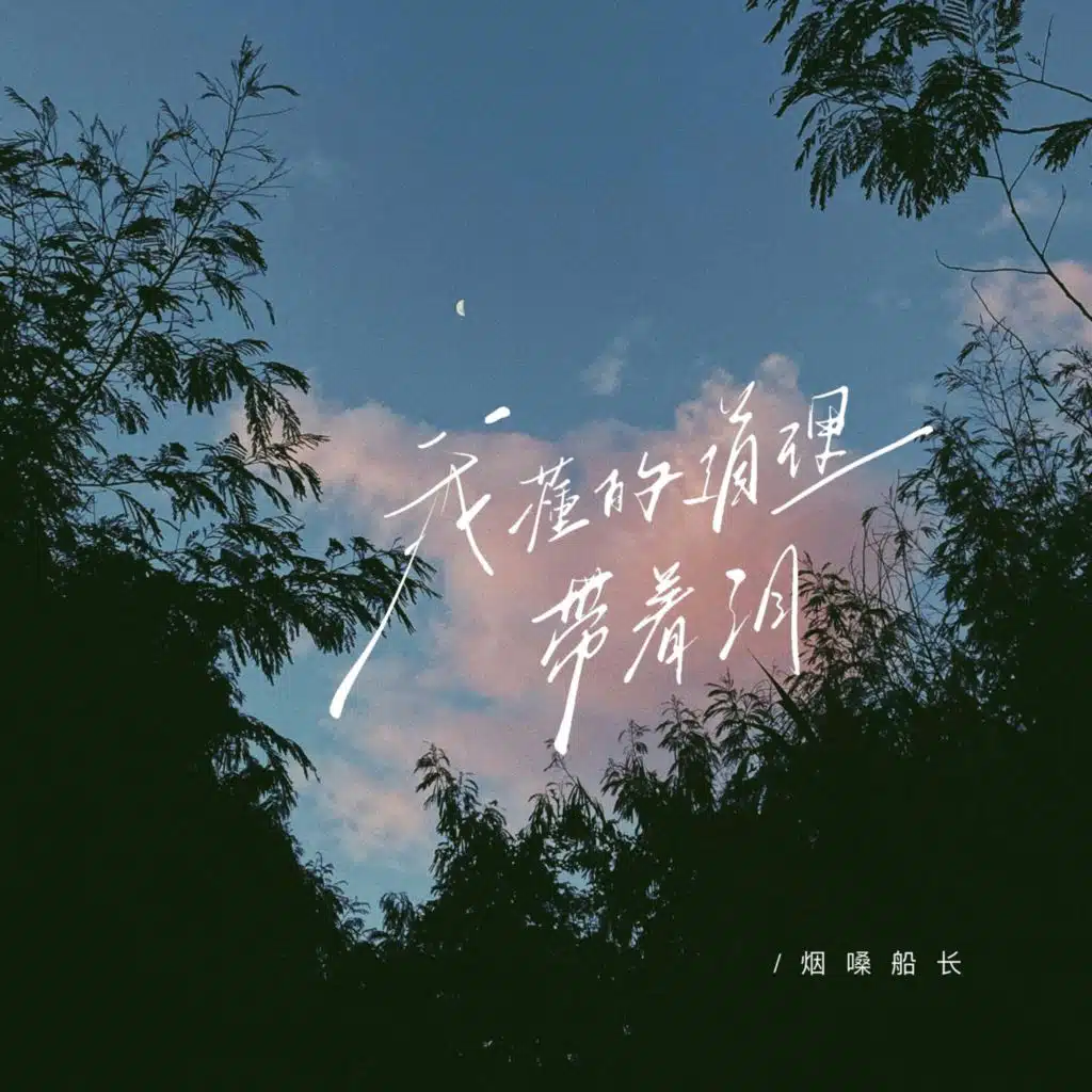 我懂的道理带着泪 (独挡一面经典语录)