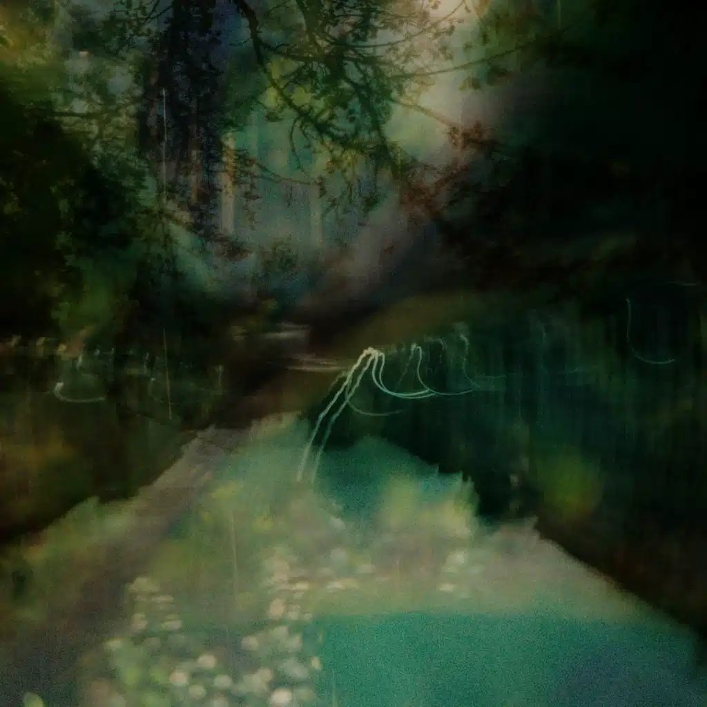 We Dream of Eden & Sonant