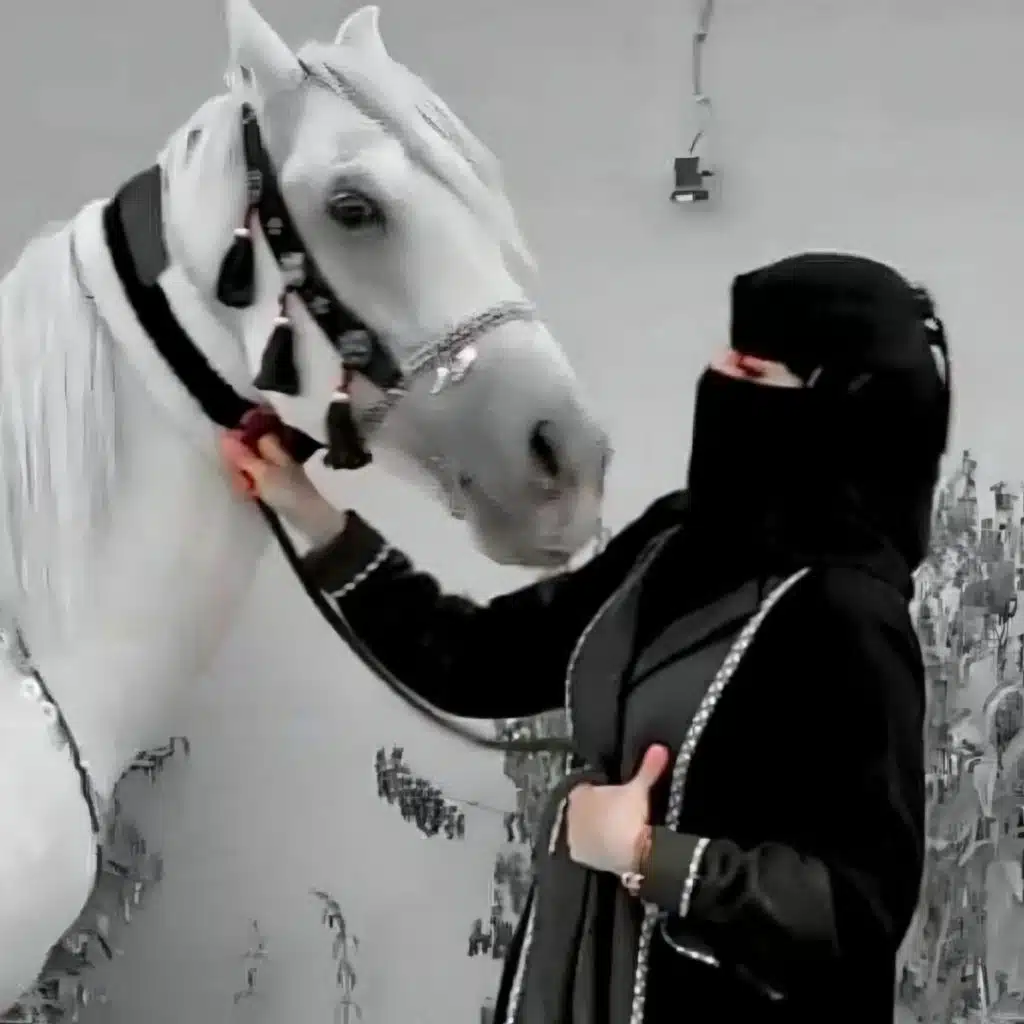 في عرب وين اتلقاقيم