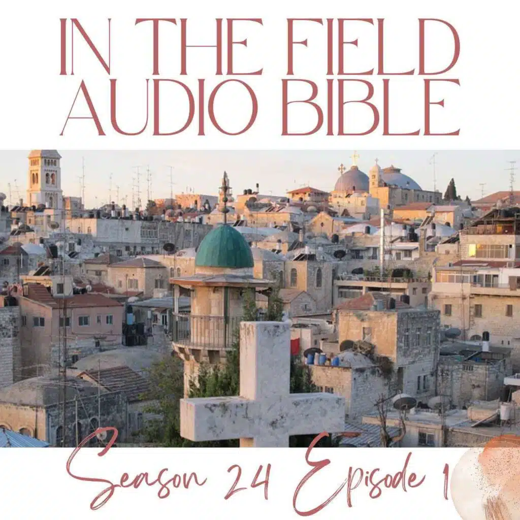 Loyalty Beyond Borders: Ruth's Journey from Moab to Bethlehem