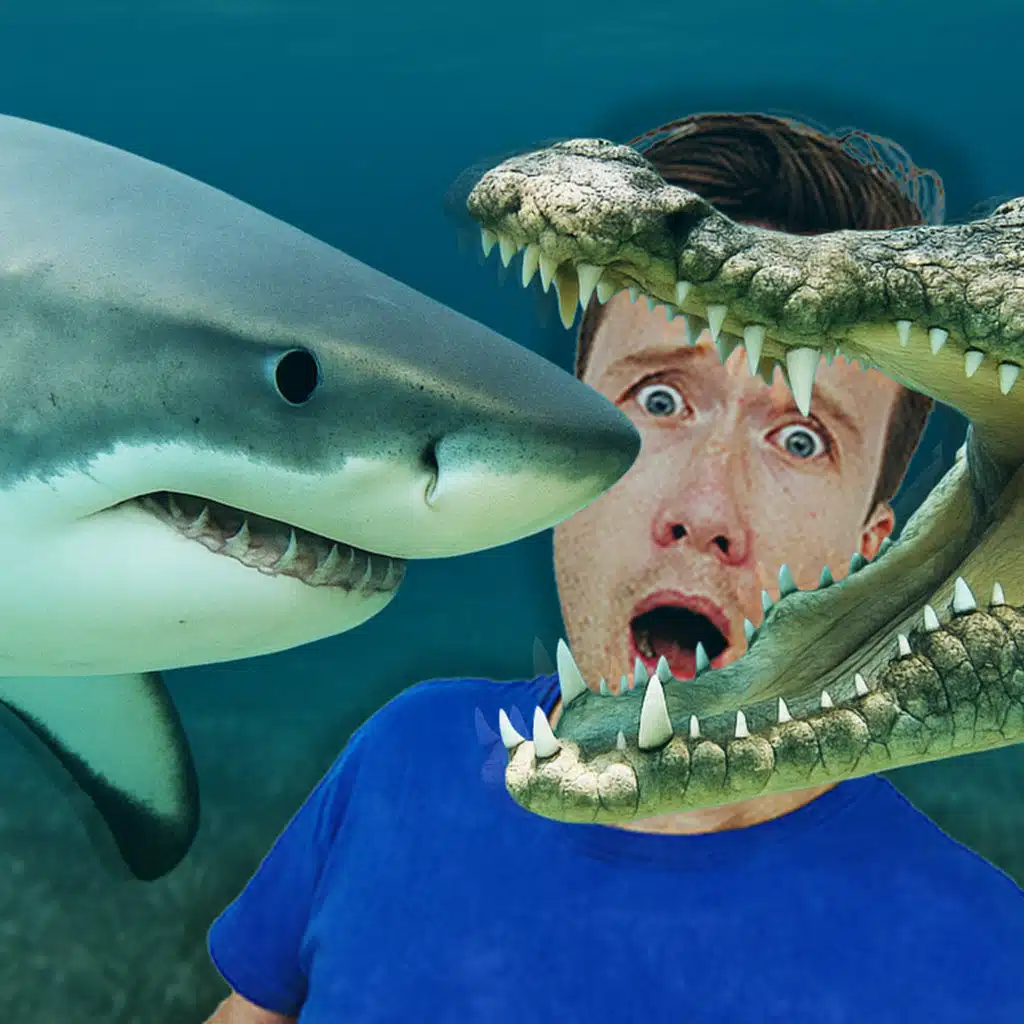 MIDWEEKLY: Who Bites Harder... Crocodiles or Sharks?🦈🐊