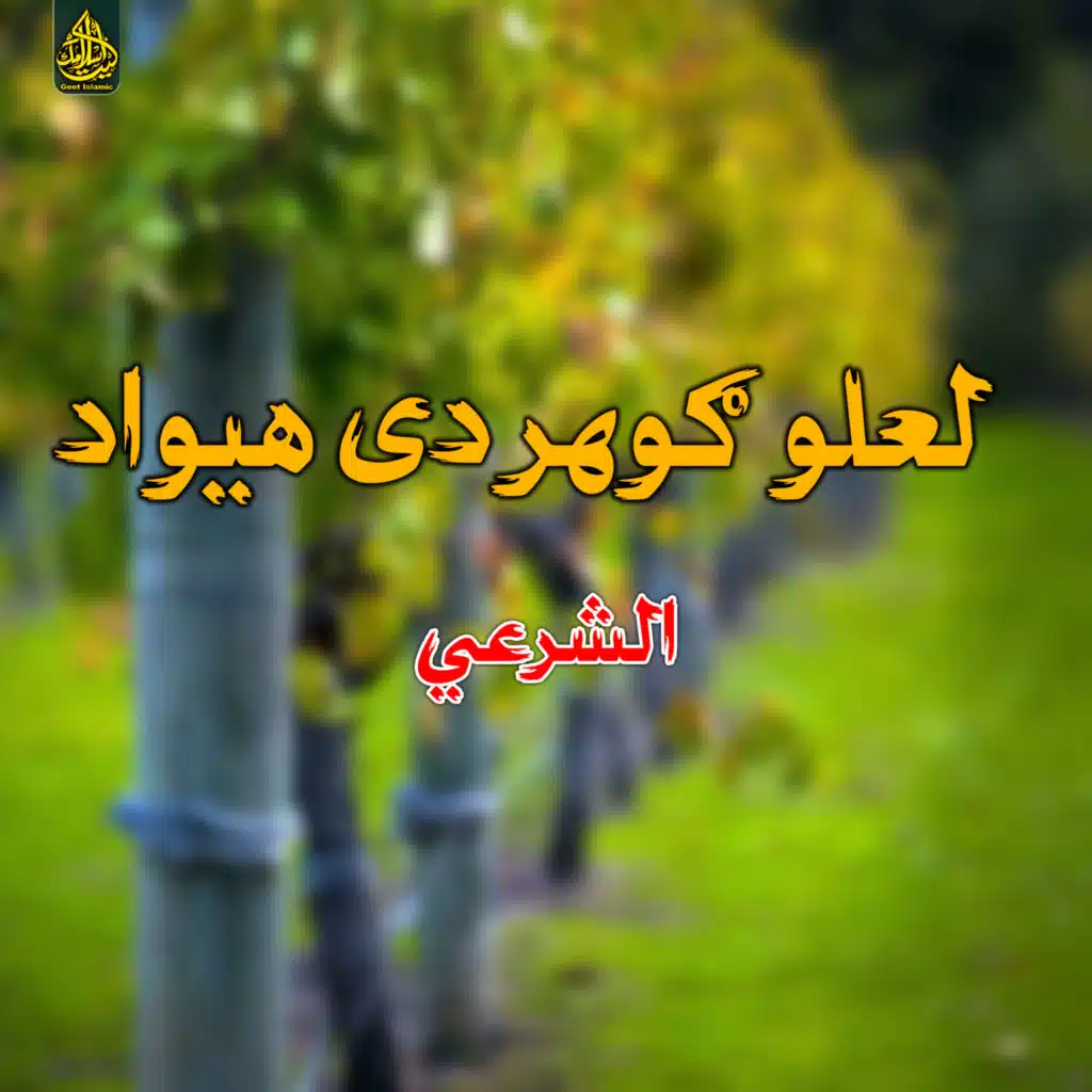 خدای دی راجوړ که