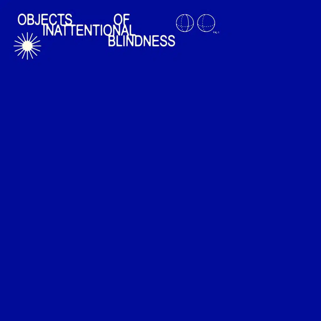 OBJECTS OF INATTENTIONAL BLINDNESS