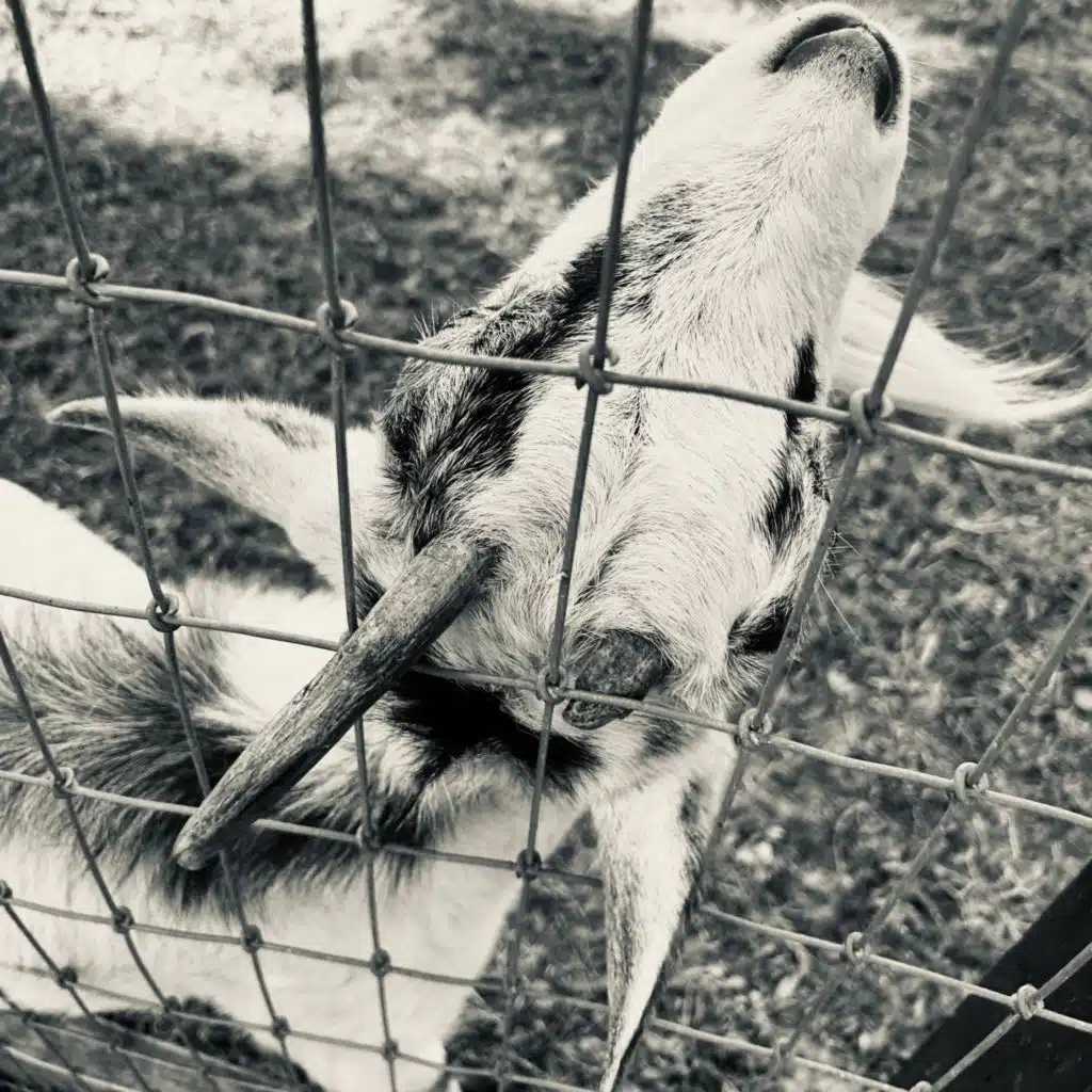 Now That Your Number Is Up