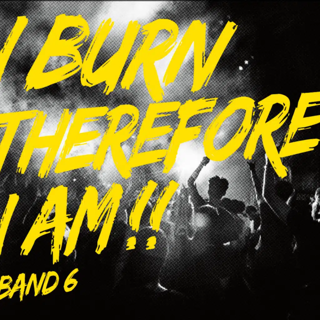 iBand 6