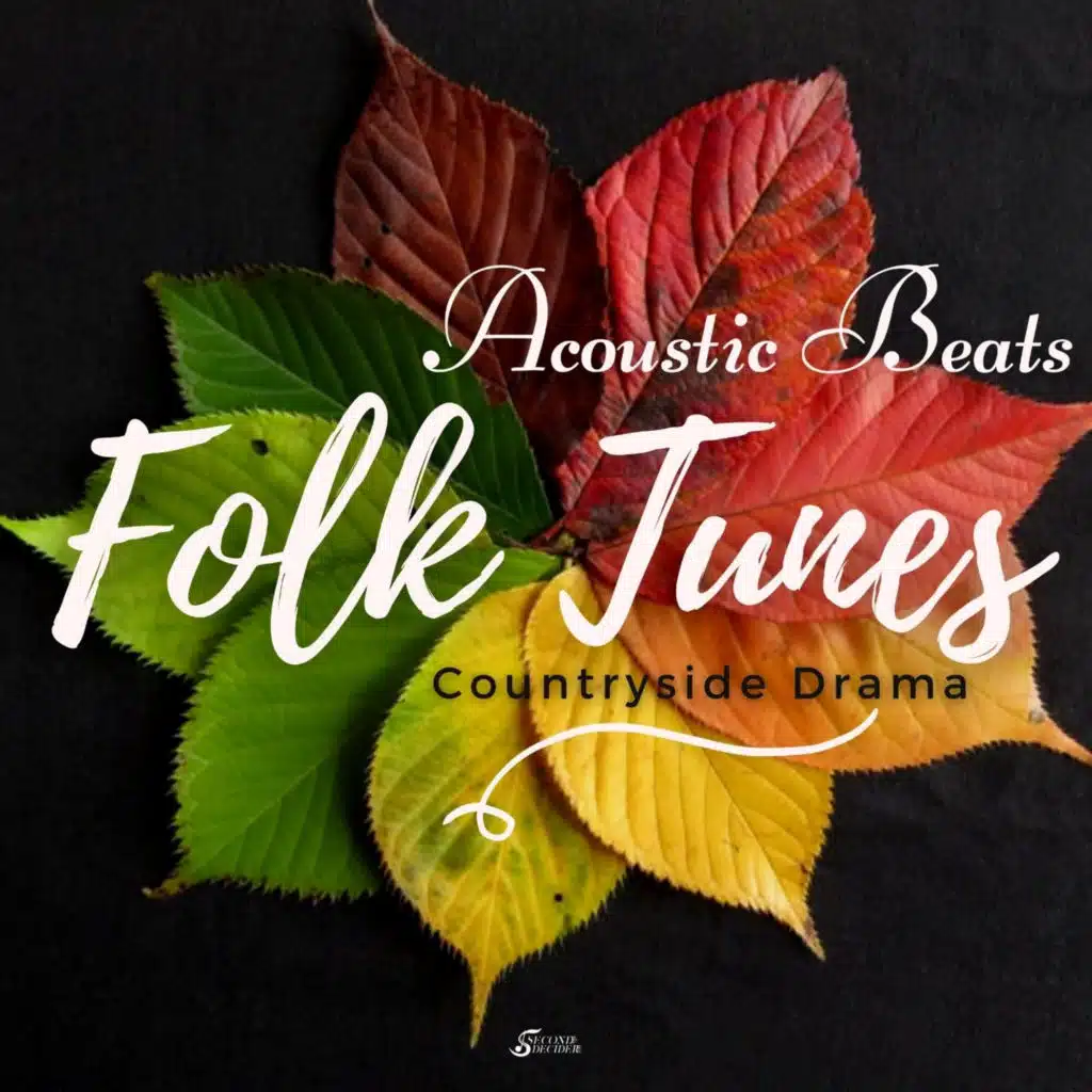 Acoustic Beats - Folk Tune