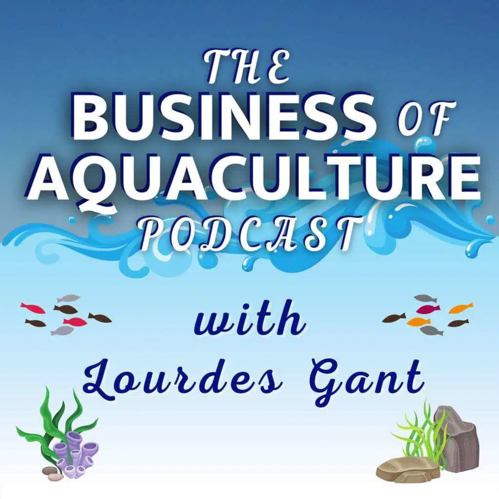 Oysters, Oceans, and Outcomes: A Deep Dive with Nik Sachlikidis