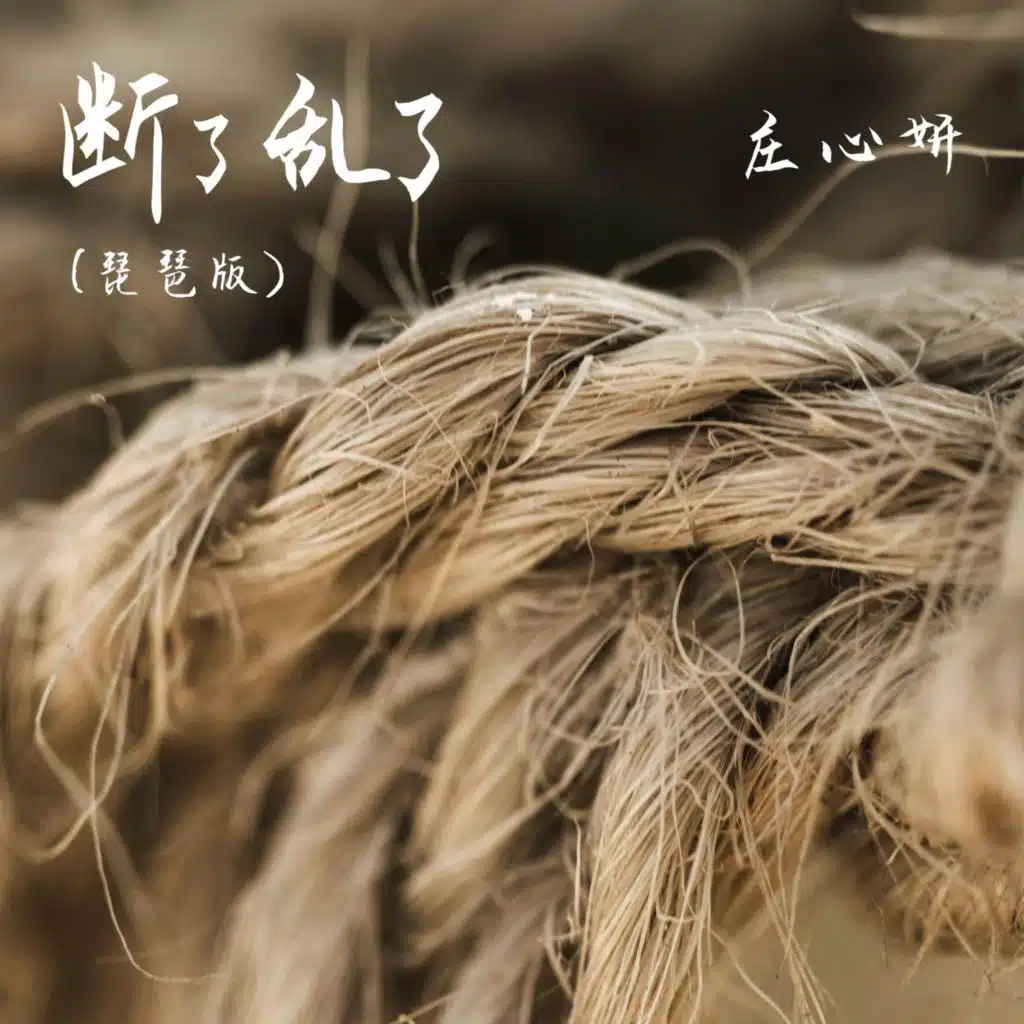 断了乱了(琵琶版)