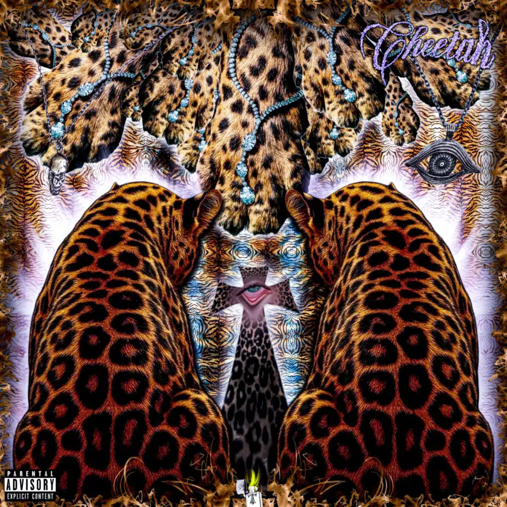 CHEETAH