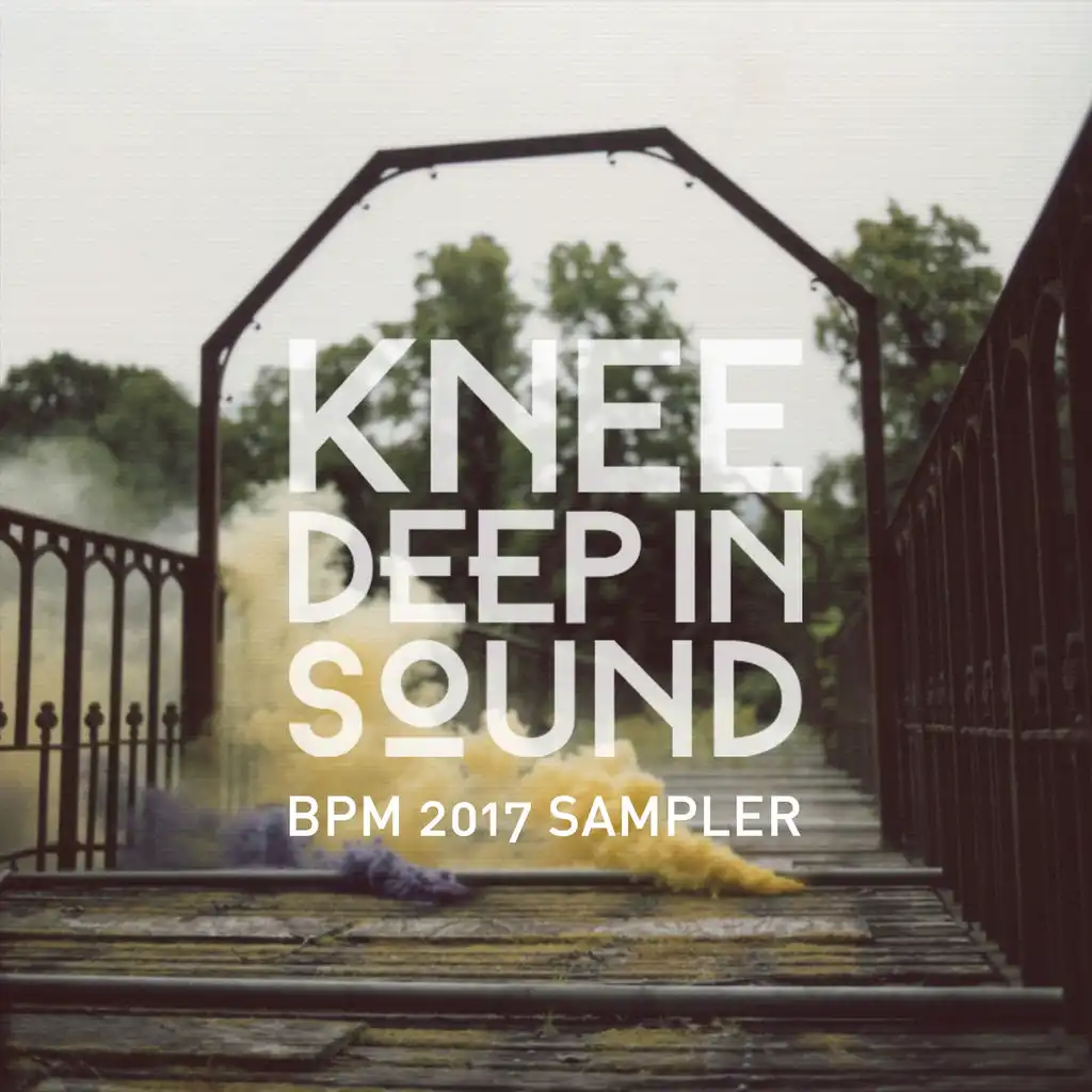 Knee Deep in Sound: BPM 2017 Sampler