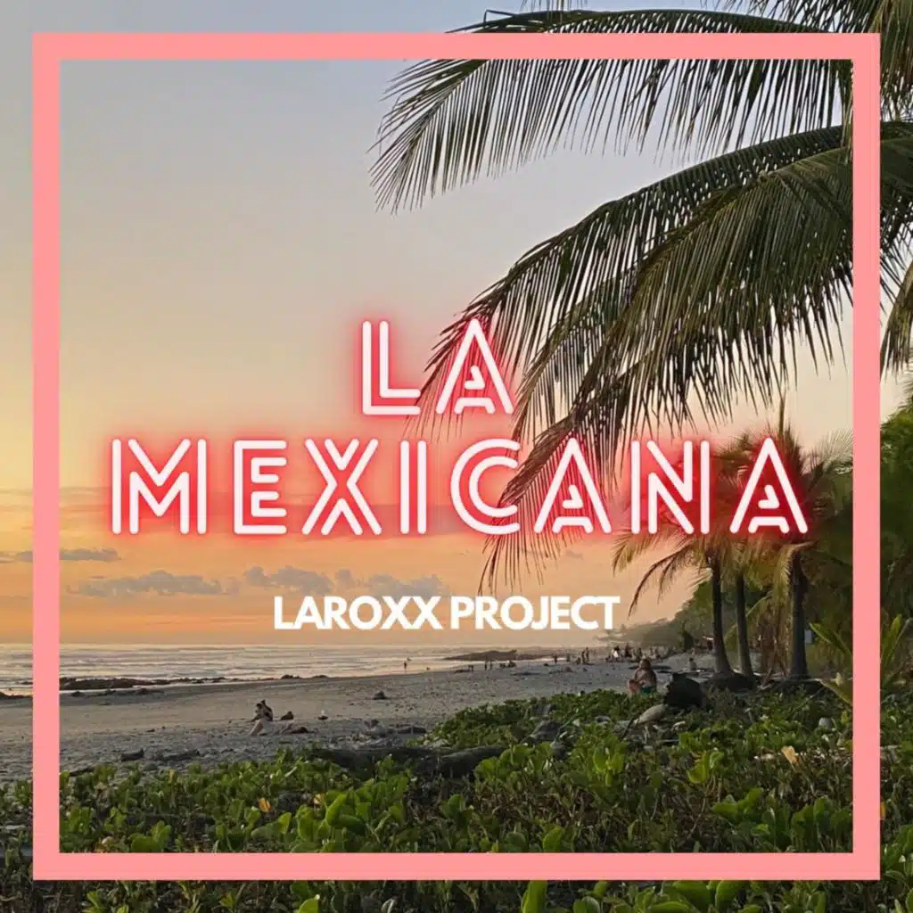 LaRoxx Project