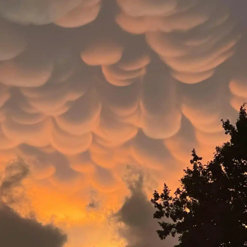 The Prophets of Yesterday