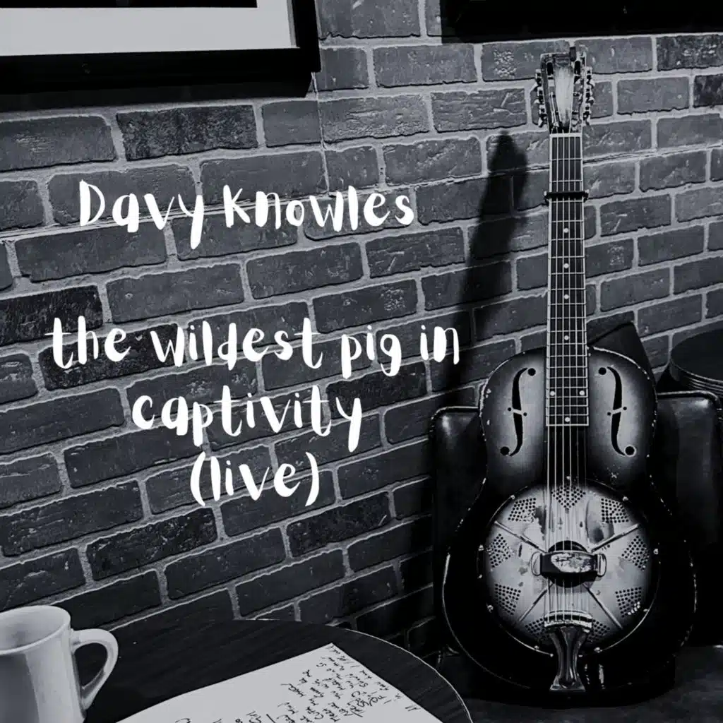 The Wildest Pig In Captivity (Live)