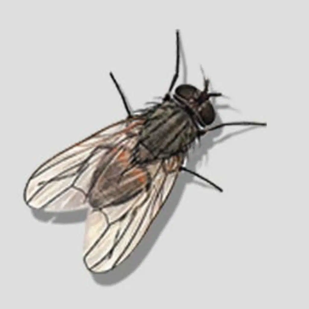 Music Buzzz Ep. 130: Joshua Radin