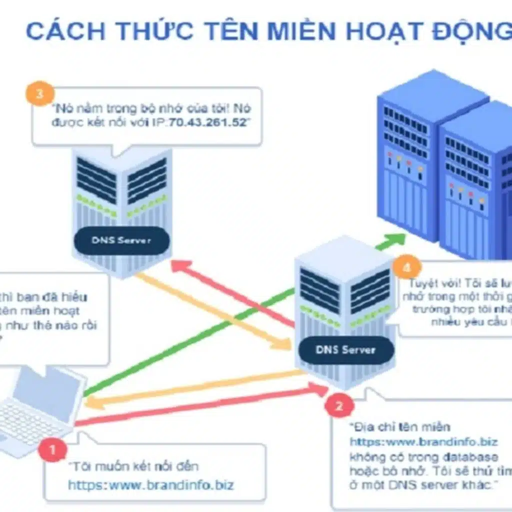 Domain: Khái niệm, Phân loại và Cấu trúc tên miền