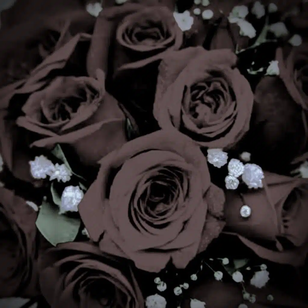 Lost LOve (flower boy Deluxe)