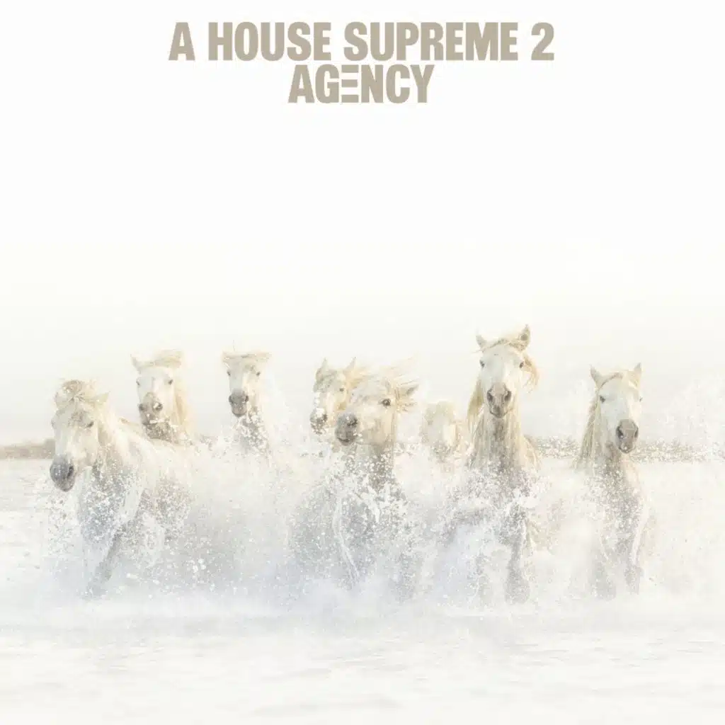 A HOUSE SUPREME 2