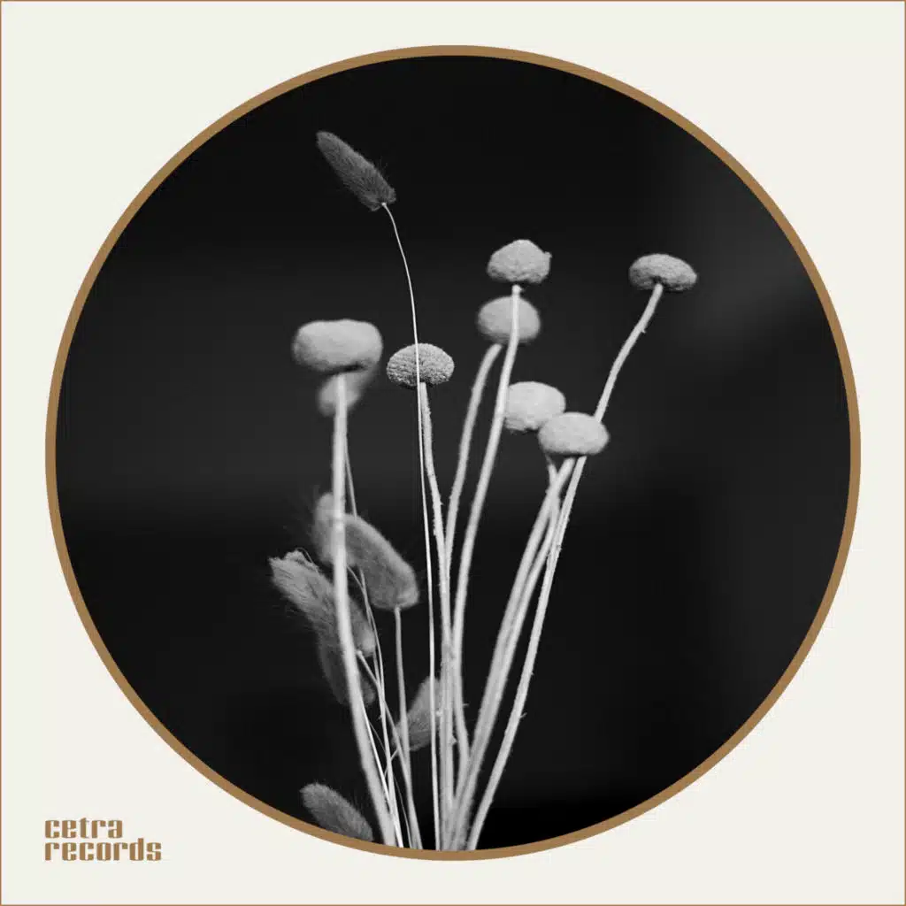 Robert Bremner: Scottish Guitar Pioneer