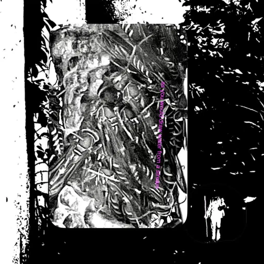 You are being surveiled