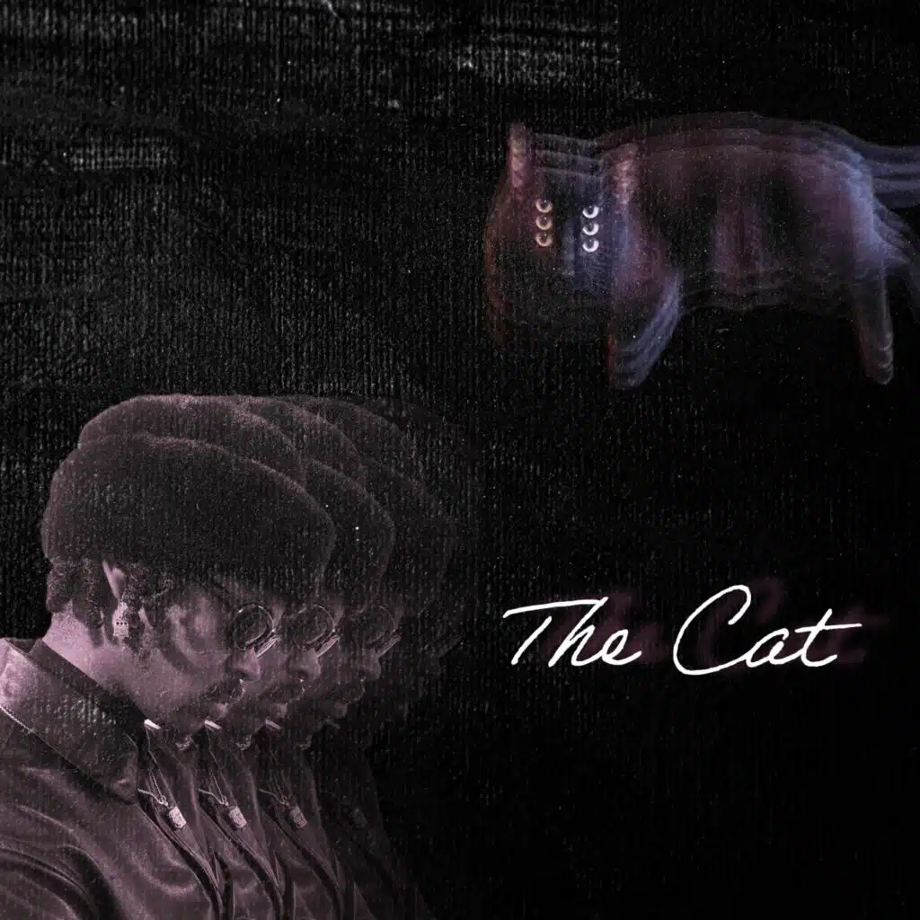 The Cat