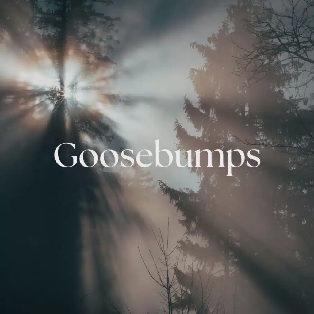 Goosebumps