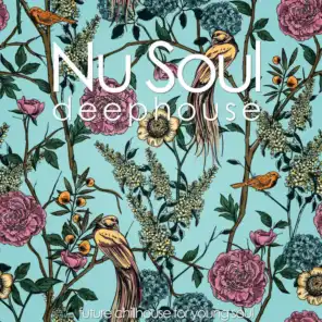 Nu Soul Deephouse (Future Chillhouse for Young Soul)