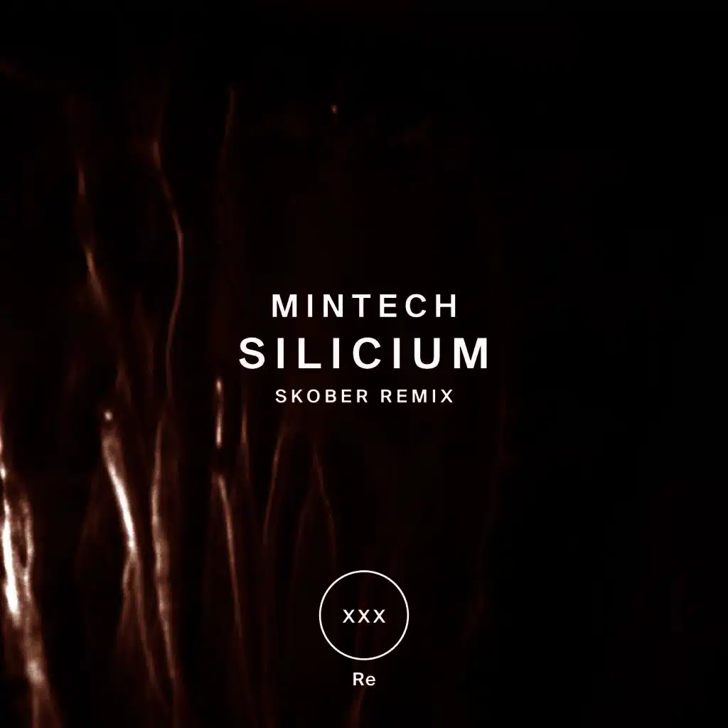 Silicium