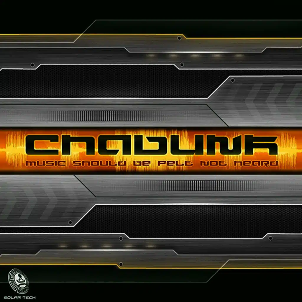 Music Should Be Felt Not Heard