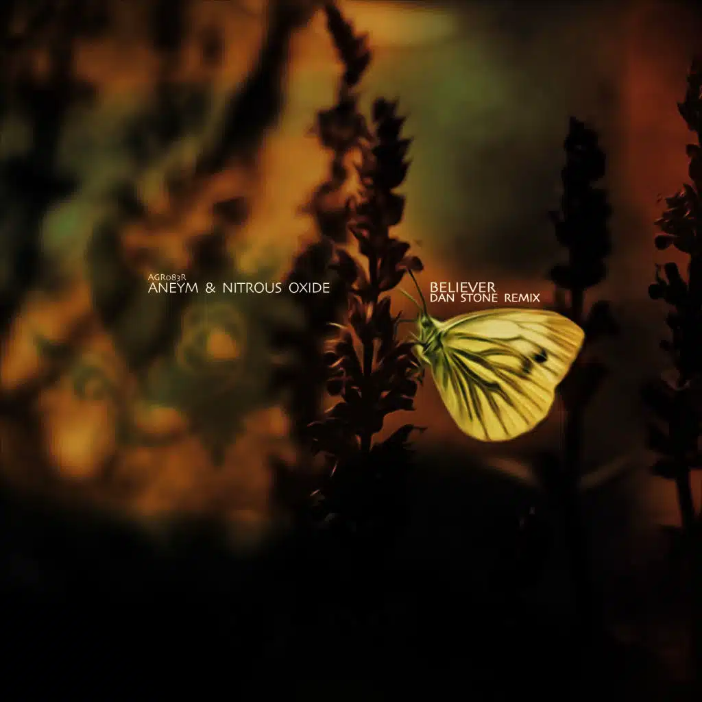 Nitrous Oxide & Aneym